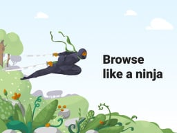 Ninja VPN graphic.