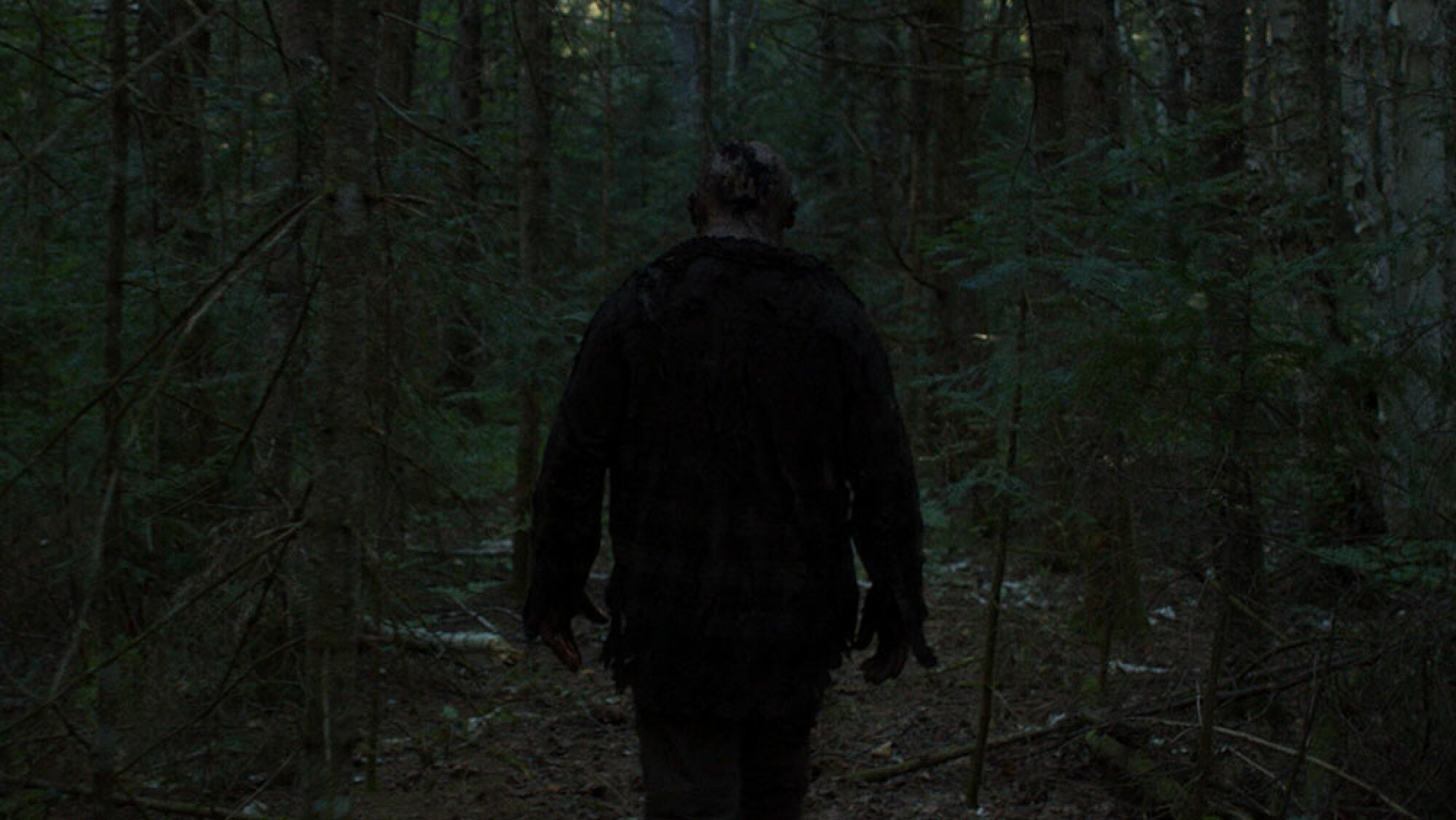 A large man, seen from behind, walks through the woods at night.