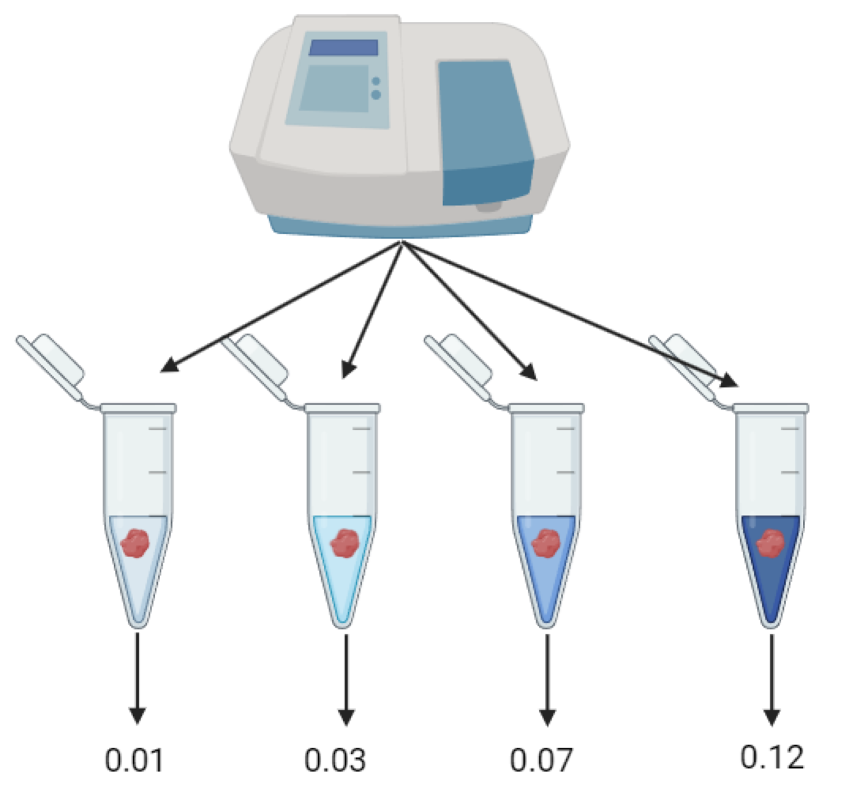 A graphic showing how researchers measured the metabolic activity of Greenland shark tissue.