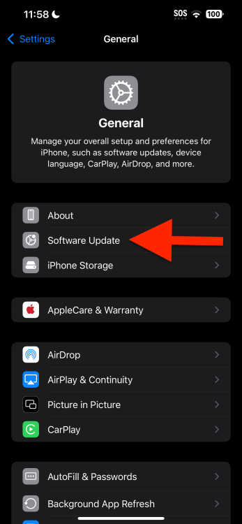 iOS 18.1 red arrow on Software Update