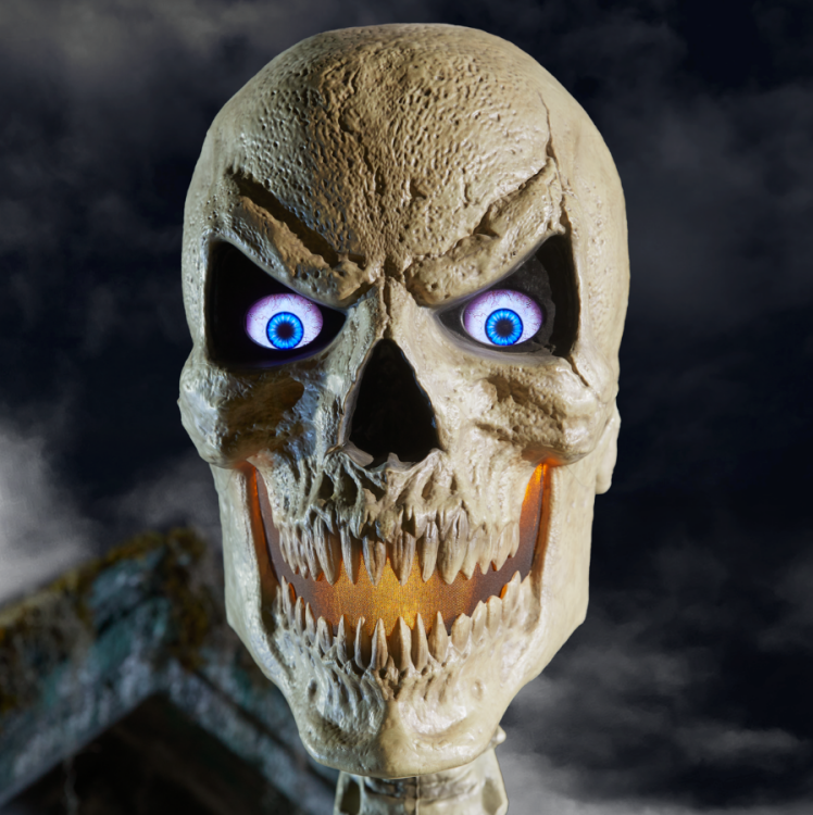 a close-up of the 12-foot skeleton's scary head