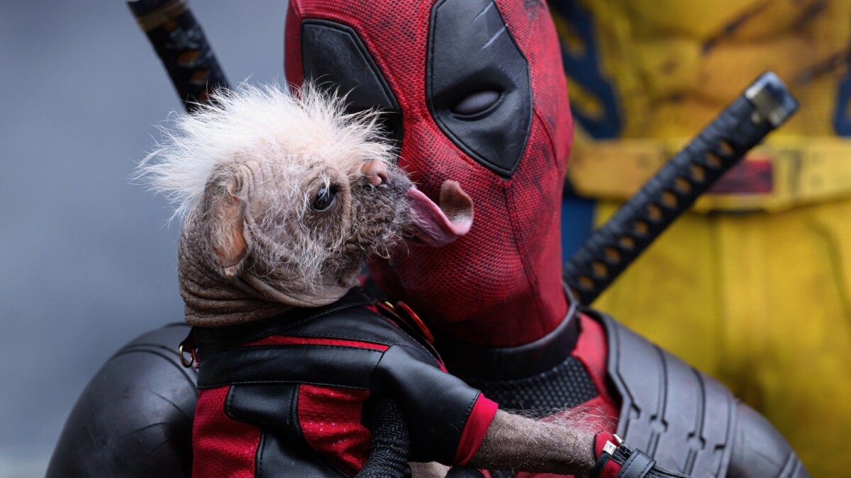 Dogpool and Ryan Reynolds as Deadpool/Wade Wilson in "Deadpool & Wolverine."