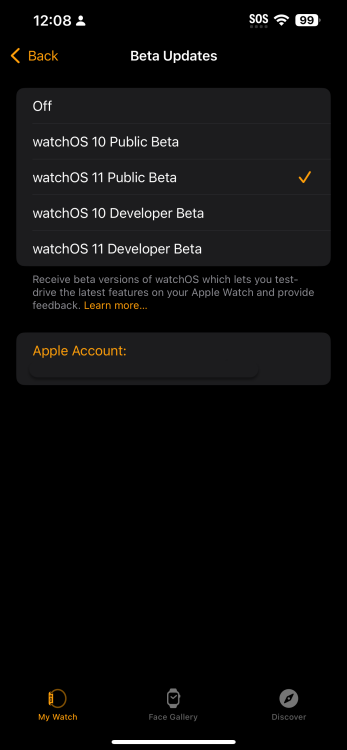 Yellow checkmark next to watchOS 11 public beta 