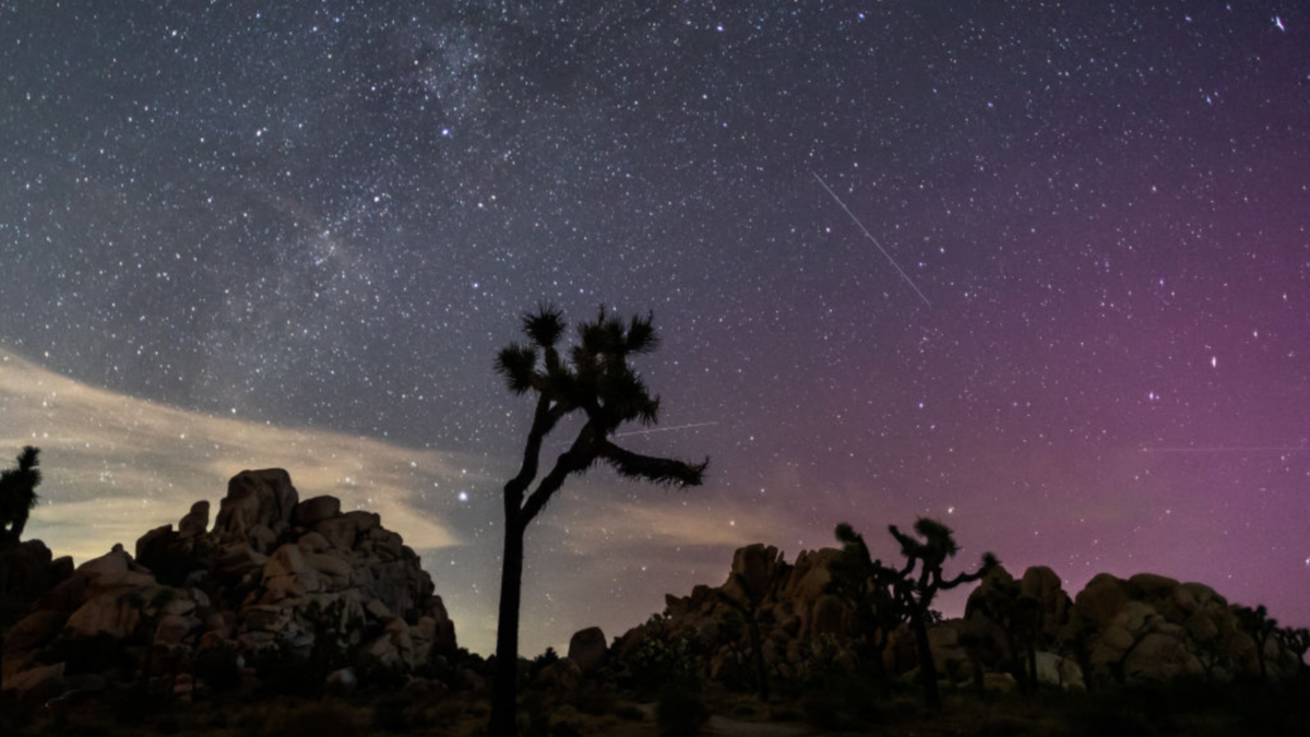 Northern Lights (Aurora Borealis) illuminate the sky above Joshua Tree National Park during the Perseids Meteor shower in Joshua Tree, California, early on August 12, 2024.