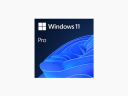 Windows 11 Pro logo