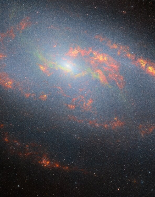 The core of galaxy NGC 4258 is generating bright vivid light as material falls into the central supermassive black hole.