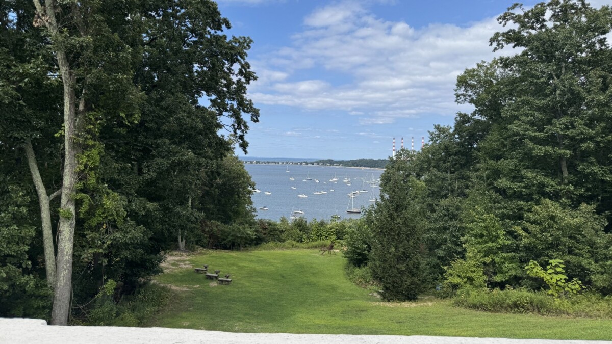 A picture of the Northport harbor with grass and trees, taken on an iPhone 15 Pro Max.