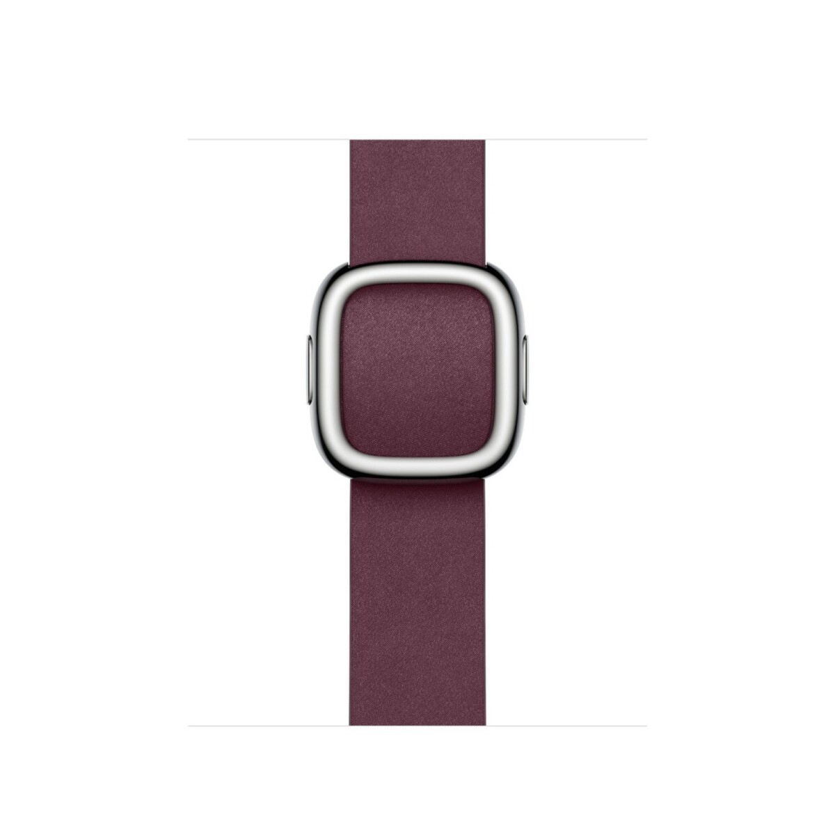 Apple Watch buckle band