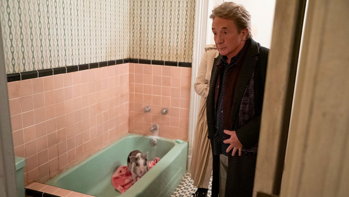 A man stands in a bathroom, with a miniature pig visible in the bathtub.