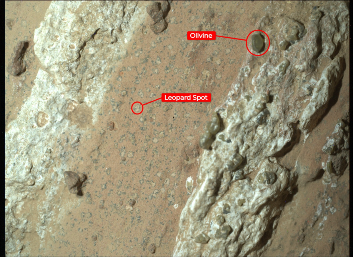 Looking closely at Cheyava Falls rock on Mars