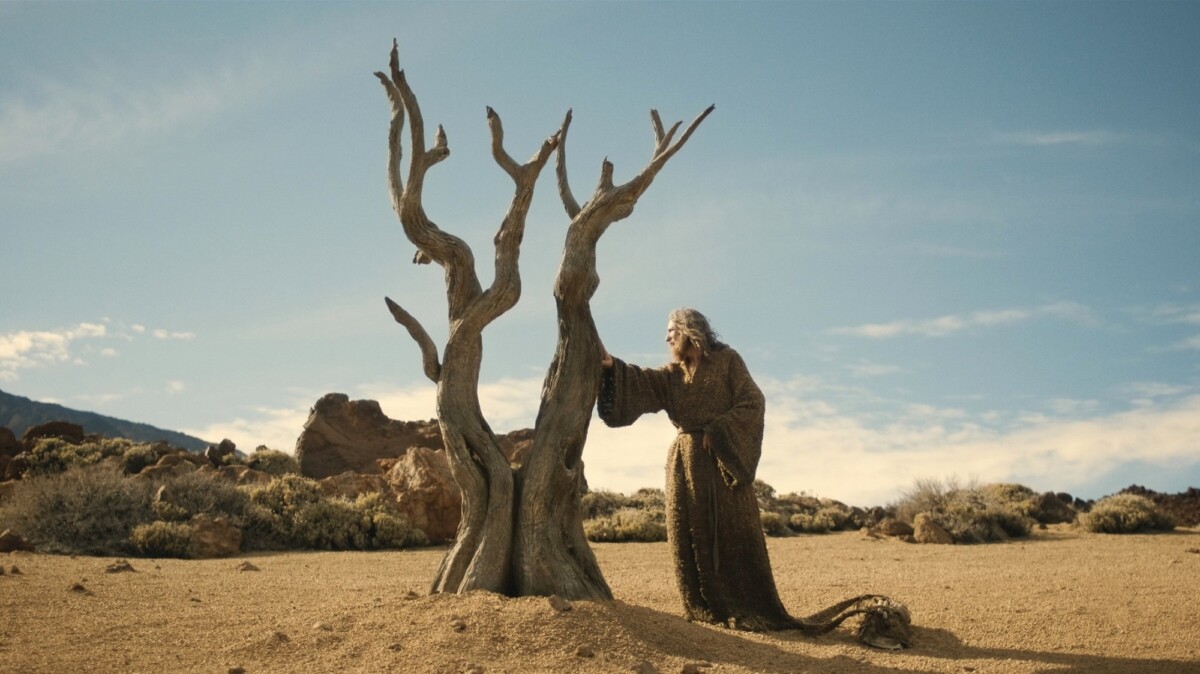 The Stranger from "The Lord of the Rings: The Rings of Power" touches a bare tree in a desert.