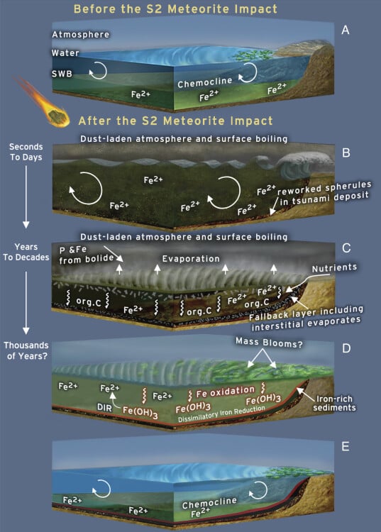 A graphic showing how the S2 meteorite impact allowed iron-cycling microbes to thrive in the seas.