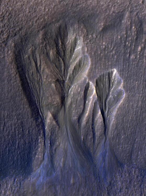 The areas of white show pockets of dusty water ice on the edges of Martian gullies.