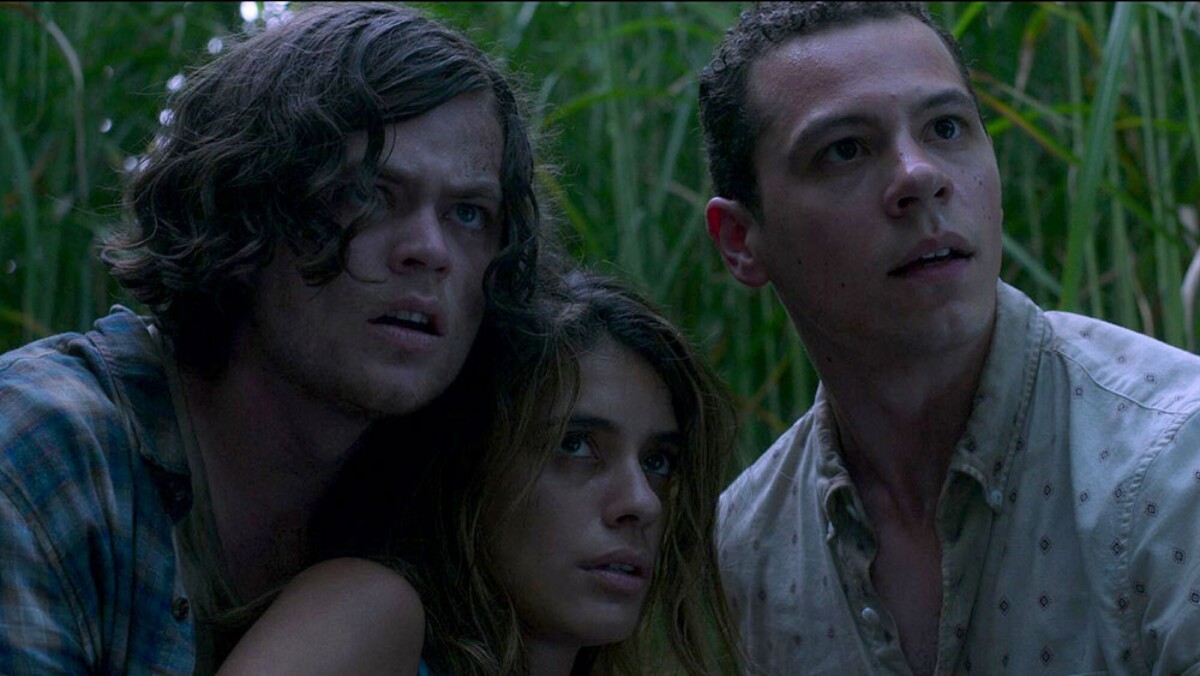 Three people stand in tall grass at dusk looking worried.