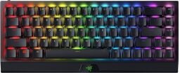 the Razer BlackWidow V3 Mini