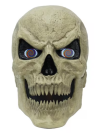 the Standard Skelly Scary Head