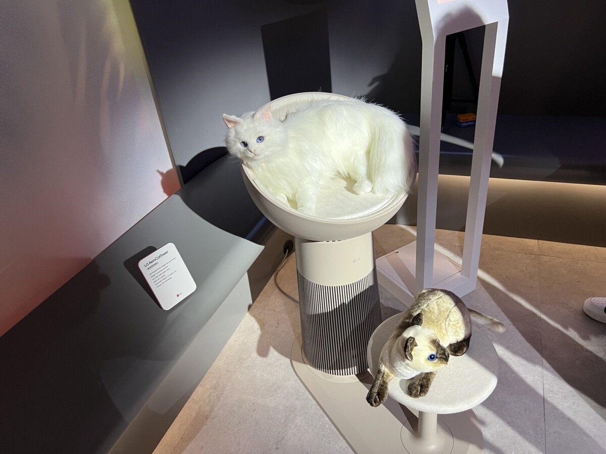 A display featuring the LG AeroCatTower, with a lifelike white cat model resting on the tower's top section and a plush Siamese cat on a smaller platform.