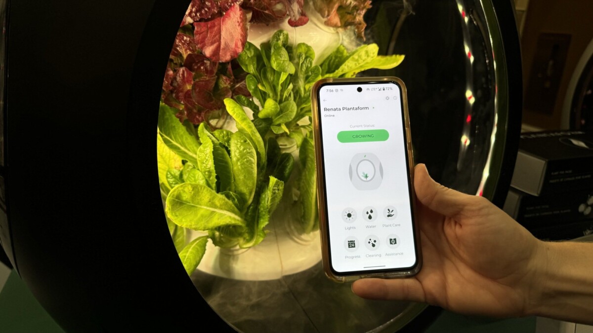 the plantaform at ces 2025